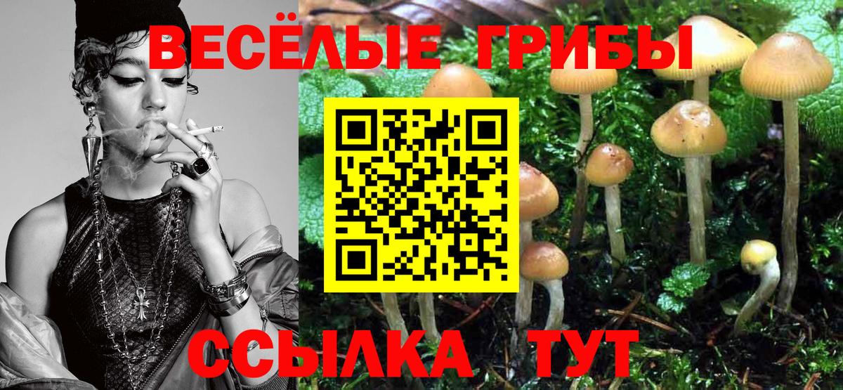 Галлюциногенные грибы MAGIC MUSHROOMS  купить наркотики сайты  Кумертау  Галлюциногенные грибы Psilocybe  Вход с VPN 